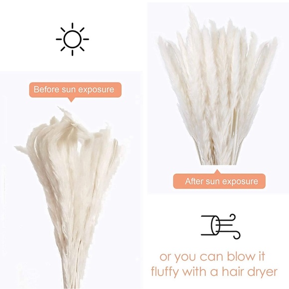 Pottery Barn Accents 5 Piece White Pampas Grass Poshmark